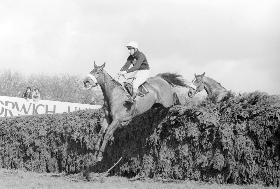 The Grand National 08.04.1977 in Progress at Aintree Racecourse winner Red Rum (Pictured) won the race for the third time