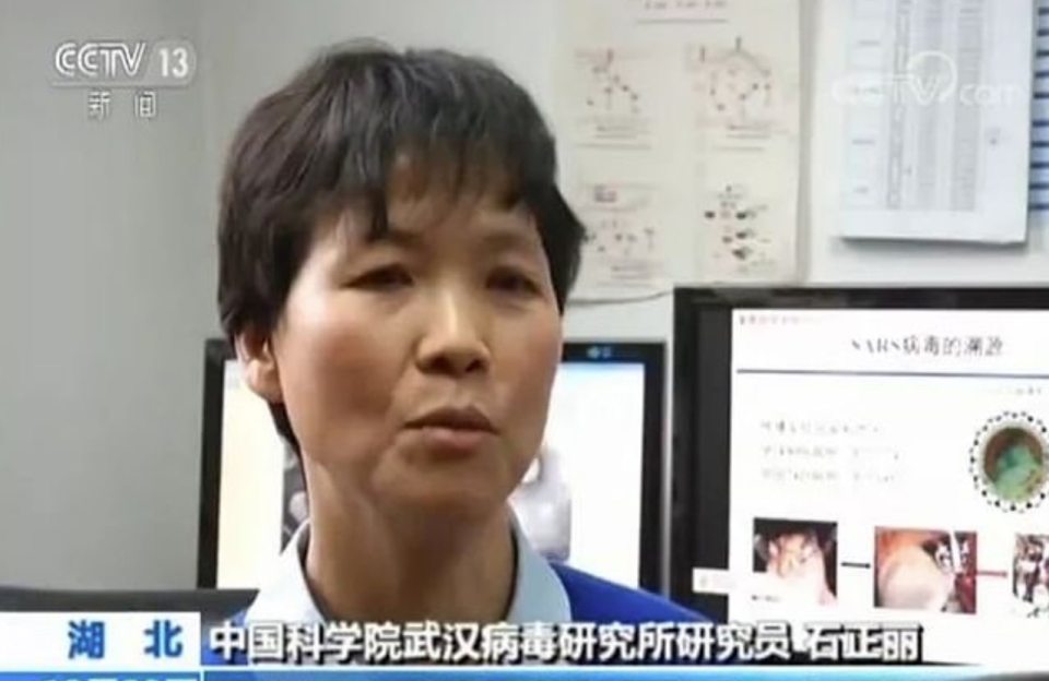 Shi Zhengli, Wuhan Institute of Virology deputy director, in an interview.