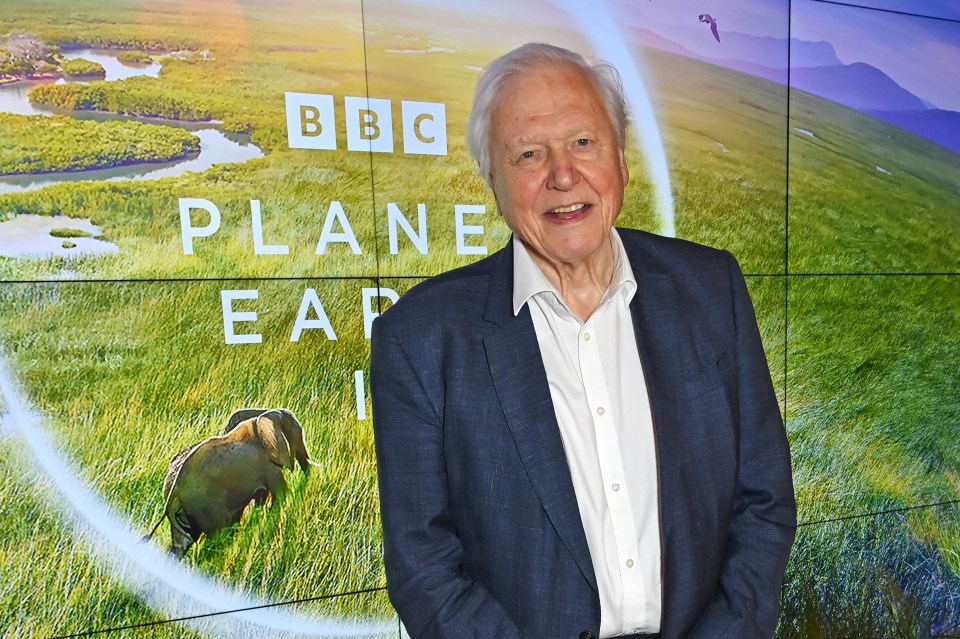 Sir David Attenborough at the Planet Earth III launch.