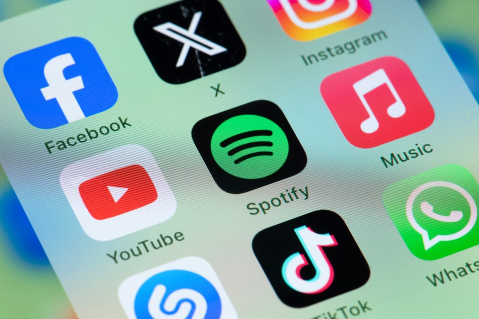 Smartphone screen displaying various social media and music app icons.