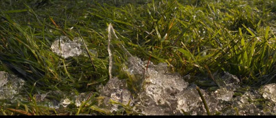 Ice chunks in the grass.