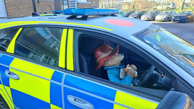 Recovered Paddington Bear statue in a police car.
