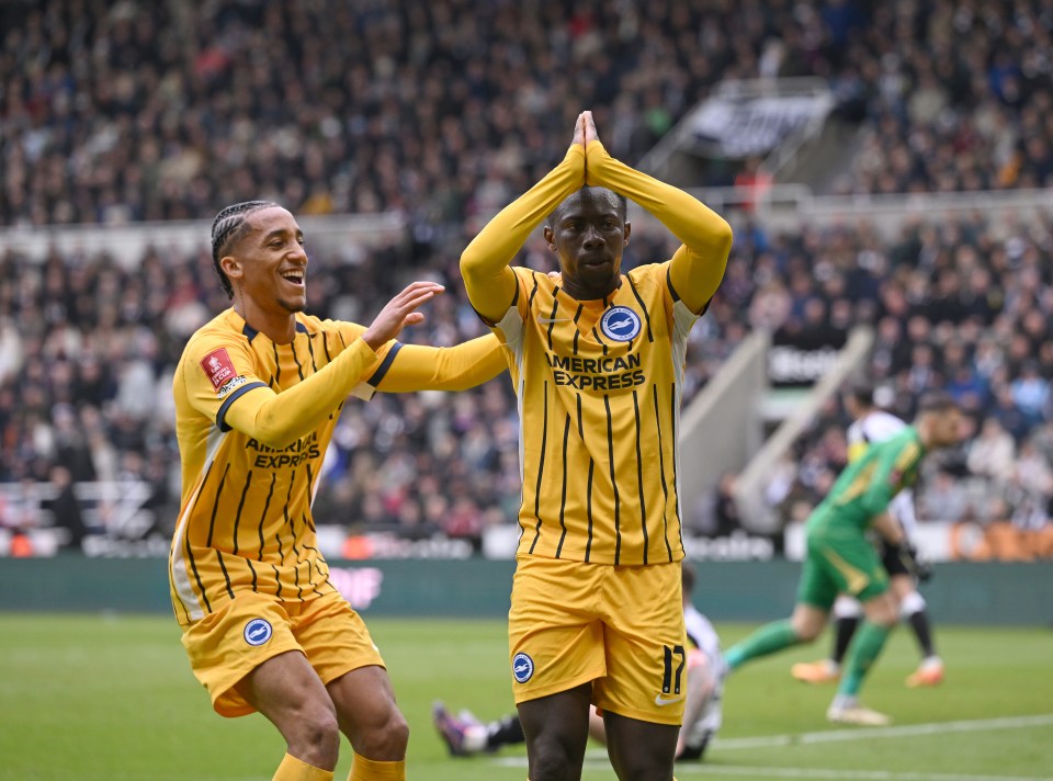 Brighton & Hove Albion players celebrating a goal.