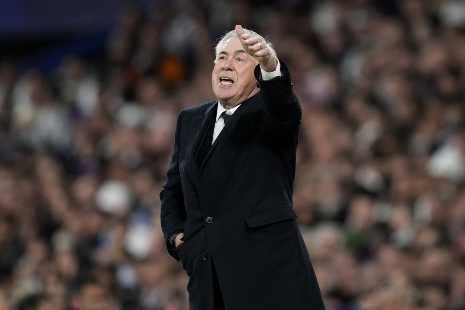 Carlo Ancelotti coaching during a soccer match.