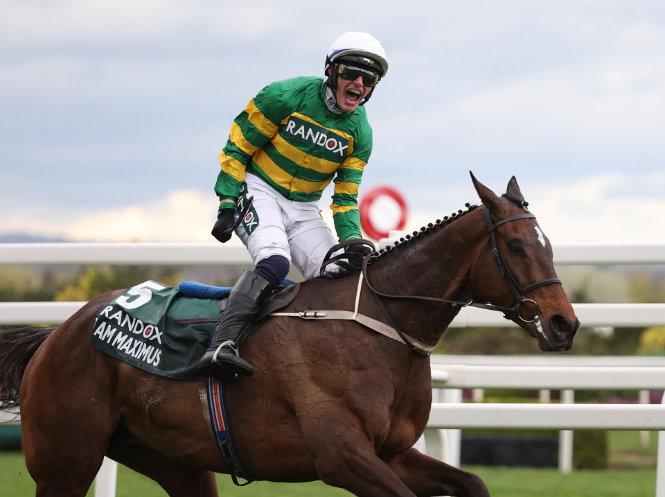 Jockey Paul Townsend winning the Random Grand National Handicap Steeple Chase on I Am Maximus.