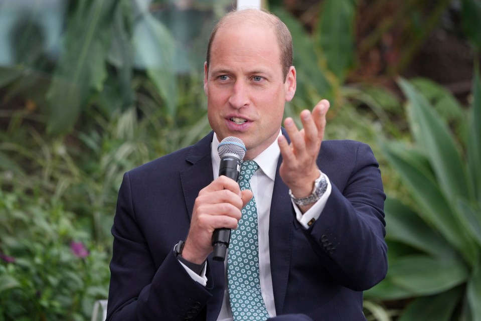 Prince William speaking at a microphone.