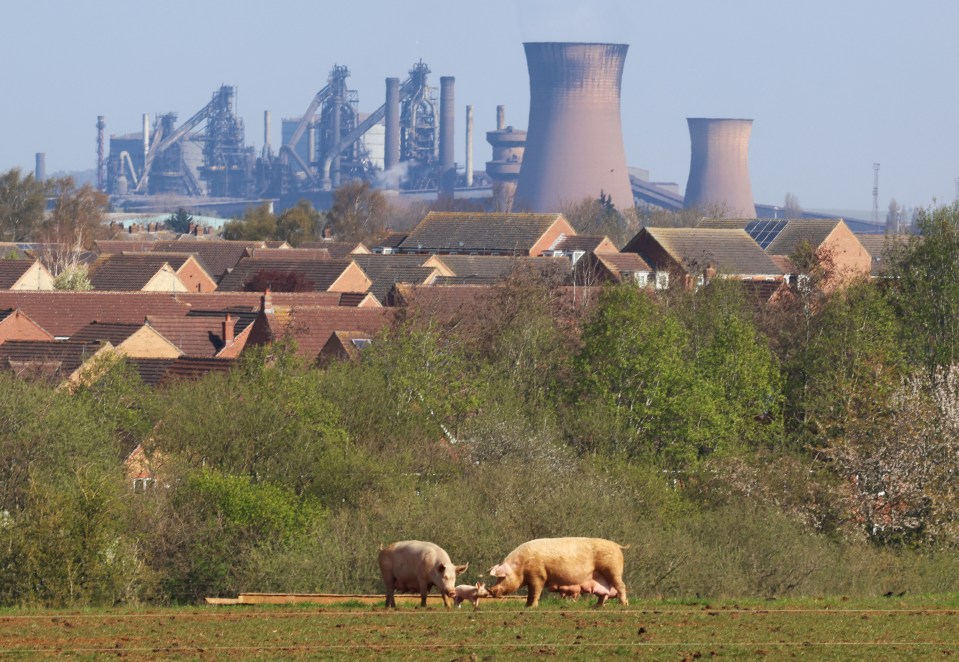 British Steel plant at sunset; cars entering the site.