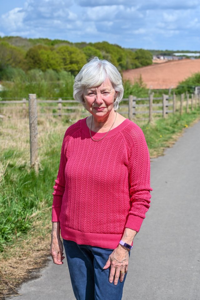 A woman in a pink sweater stands on a path.