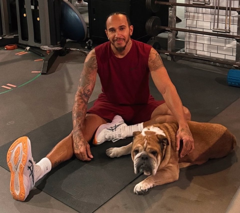 Man sitting on a gym floor with his bulldog.