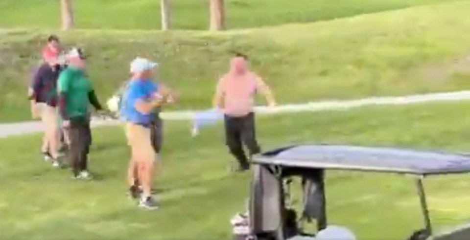 Group of golfers on a golf course.