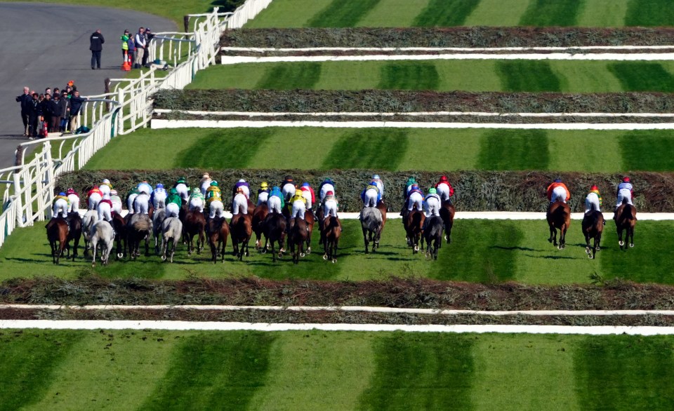 Runners and riders during the Randox Grand National on day three of the Randox Grand National Festival at Aintree Racecourse, Liverpool. Picture date: Saturday April 5, 2025. PA Photo. Photo credit should read: Peter Byrne/PA Wire. RESTRICTIONS: Editorial Use only, commercial use is subject to prior permission from The Jockey Club/Aintree Racecourse.