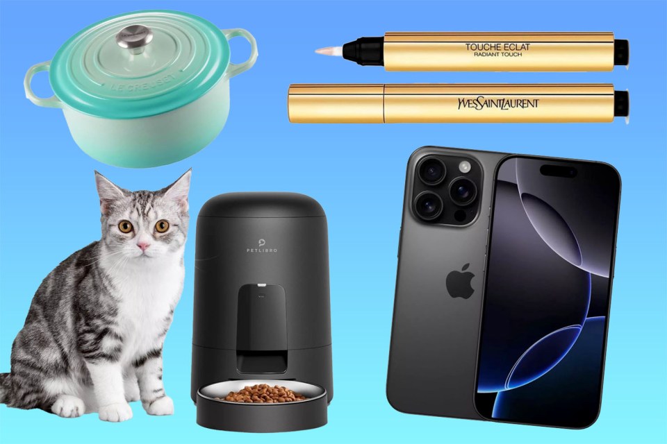 Collage of a Le Creuset pot, Yves Saint Laurent Touche Éclat, an iPhone, a cat, and a Petlibro automatic pet feeder.