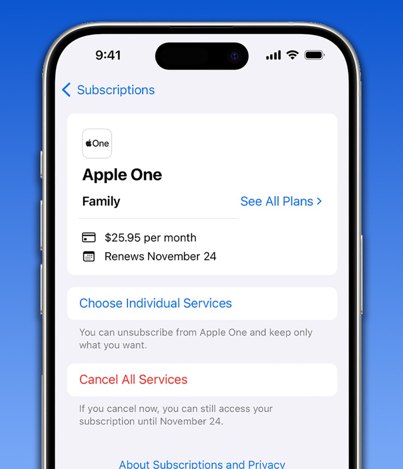 iPhone screen showing Apple One family subscription details.