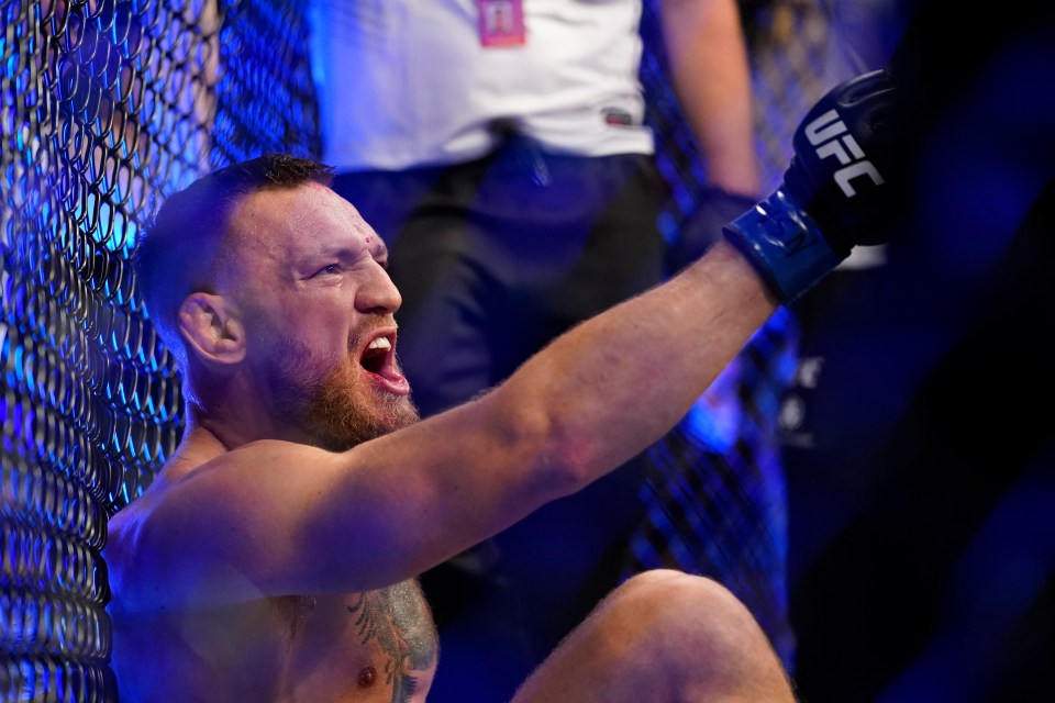 Conor McGregor yelling while sitting in an MMA cage after an injury.