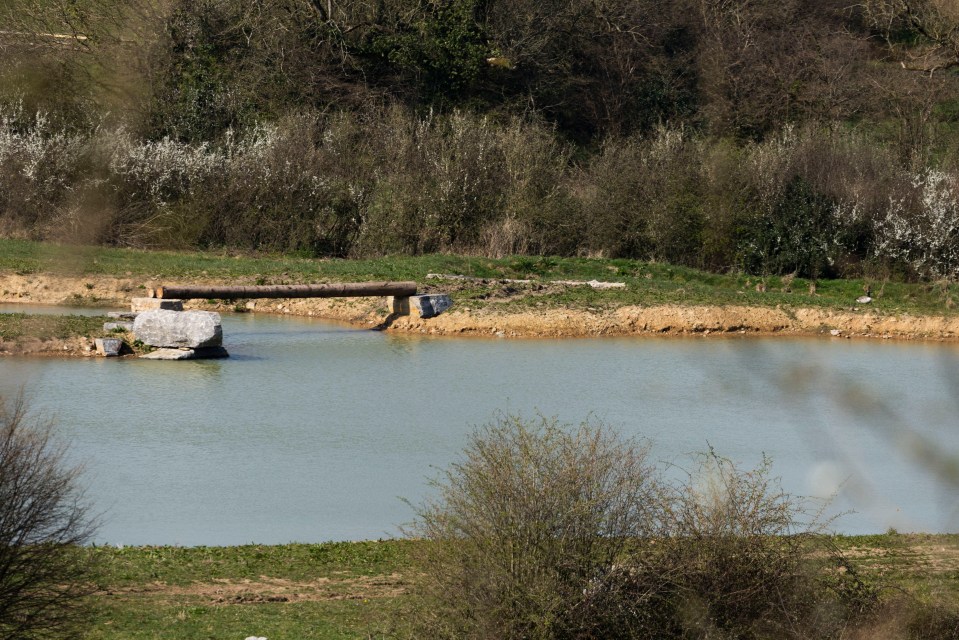 A log bridge over a man-made pond.