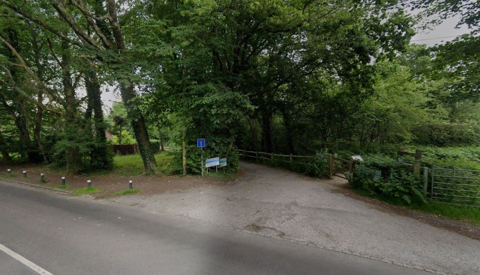 Driveway entrance to a wooded area.
