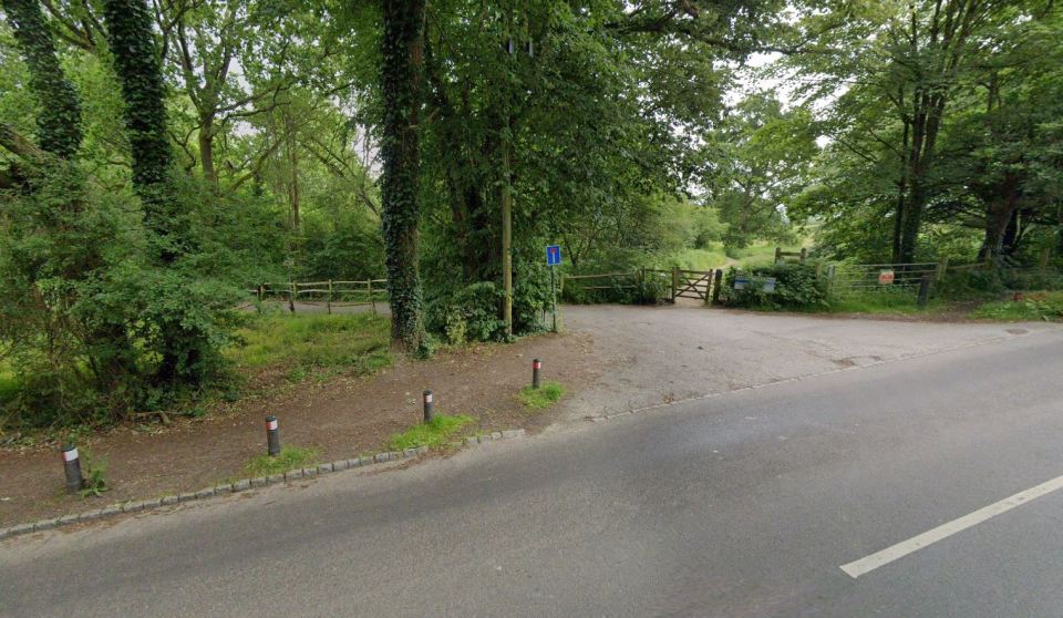 Road leading to a gated entrance to a wooded area.
