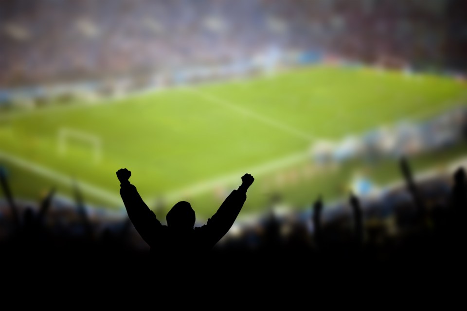 Silhouette of a jubilant soccer fan with arms raised in a stadium.