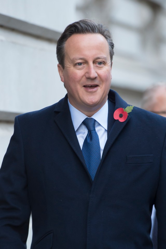 Photo of David Cameron wearing a dark suit and poppy.