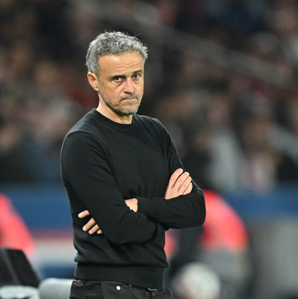 Luis Enrique, Paris Saint-Germain head coach, at a Ligue 1 match.