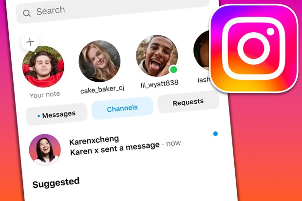 Instagram interface showing messages and requests.