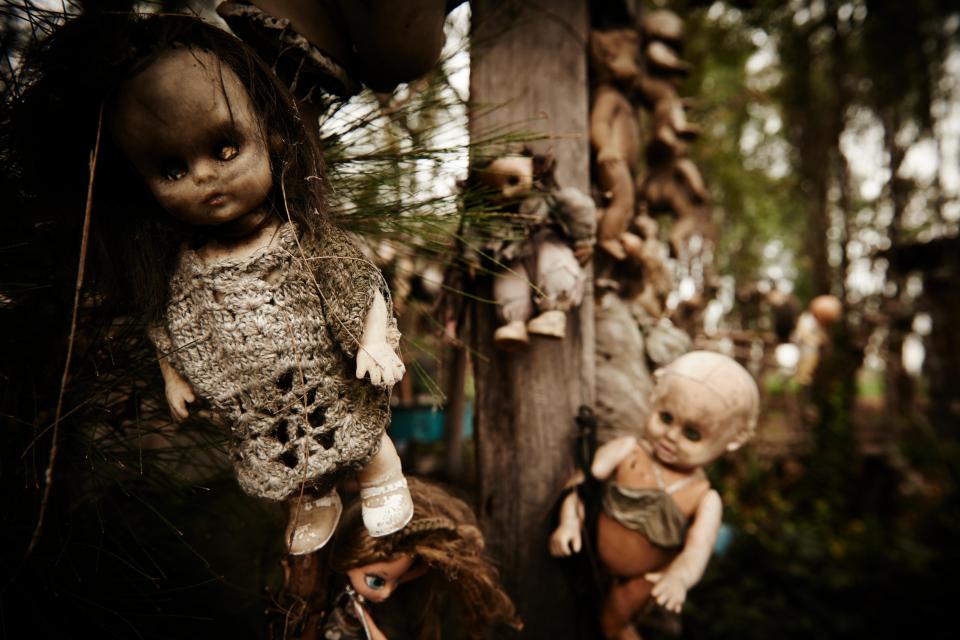 Weathered dolls hanging from trees on the Island of the Dolls in Xochimilco, Mexico.