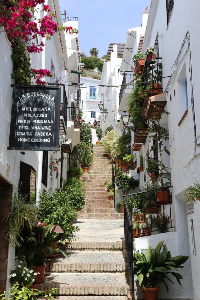 Steep, plant-lined street in Velez Malaga, Spain.