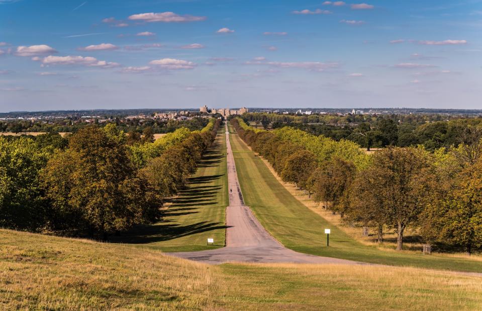 Long Walk leading to Windsor Castle.