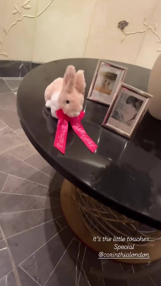 A stuffed bunny with a ribbon reading "Palma Wright" sits on a table next to framed photos.