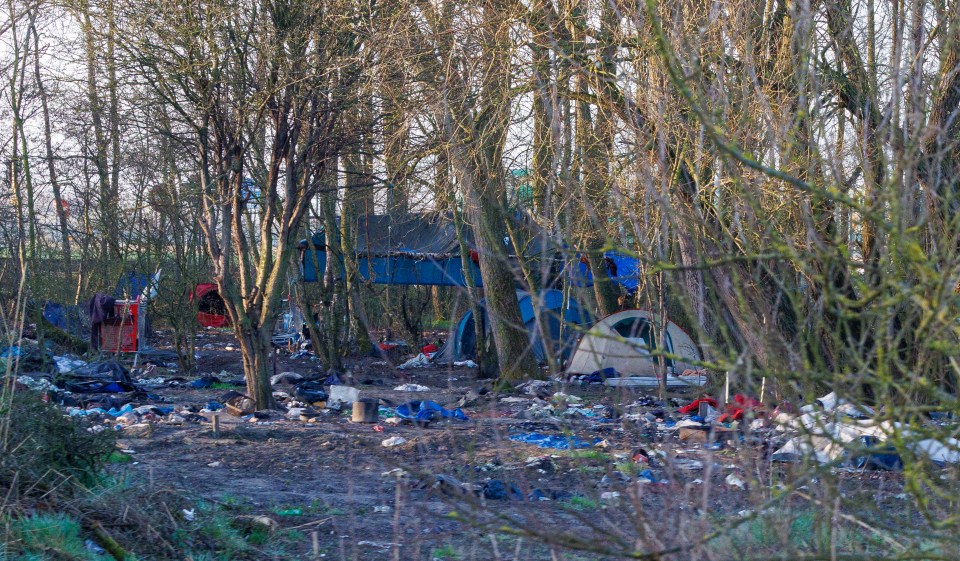Migrants' tented camp in a wooded area.