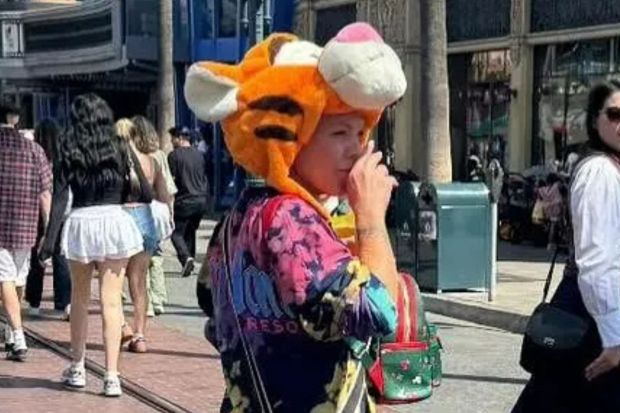 An image collage containing 1 images, Image 1 shows Pink and her husband at California Adventure