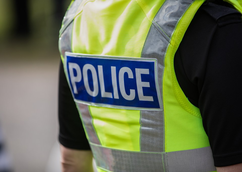 Police officer's back, showing a high-visibility vest with "POLICE" label.