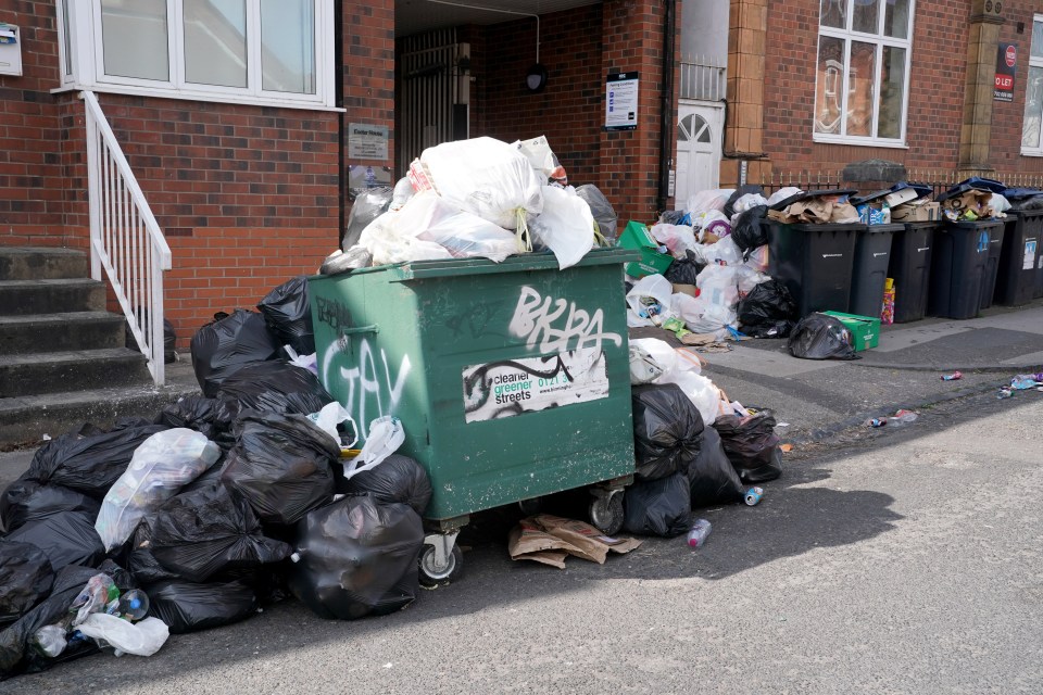 Overflowing rubbish bins and bags on a street.