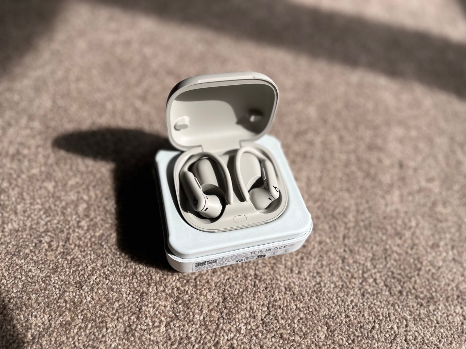 Powerbeats Pro earbuds in their charging case.