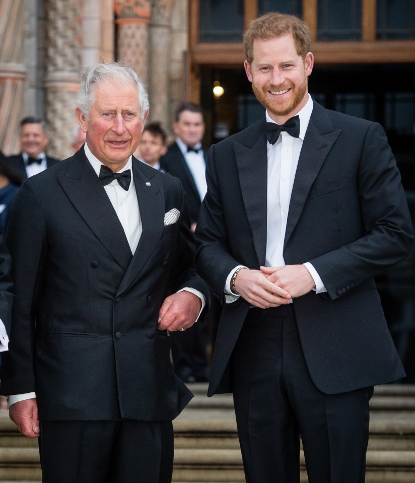 Prince Charles and Prince Harry at a film premiere.