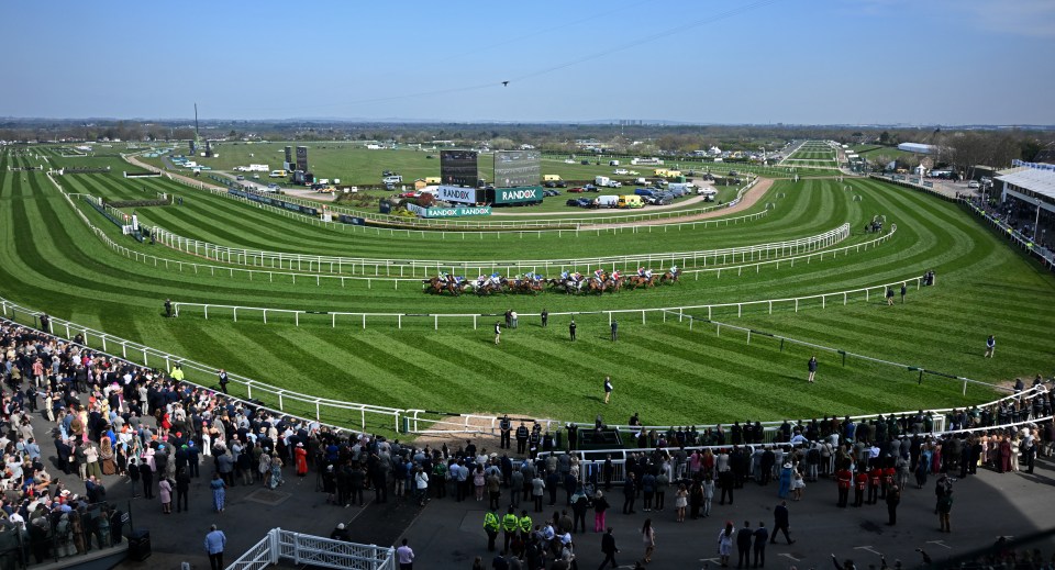 Horse race at Aintree Racecourse.