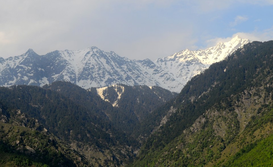 Snow-capped Dhauladhar mountain range.