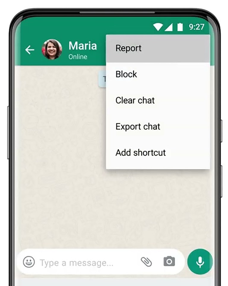 Whatsapp chat options menu.