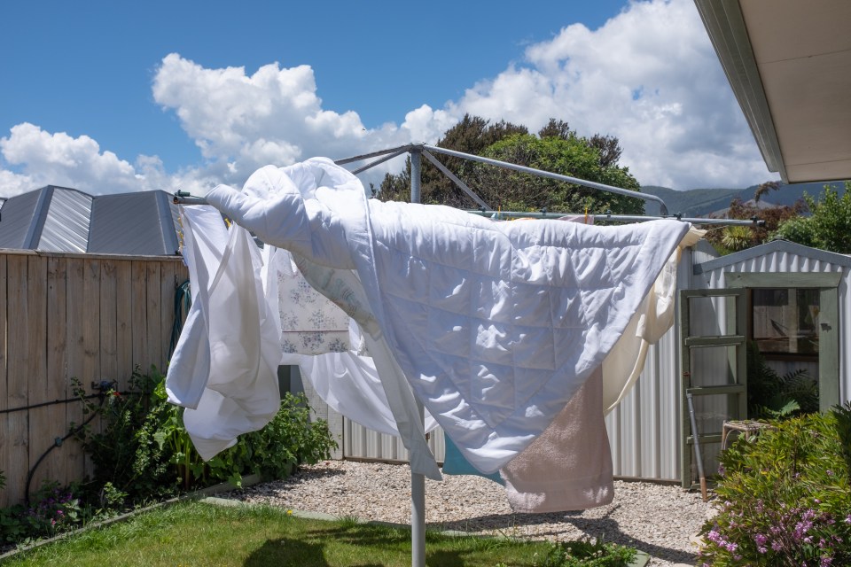 White sheets and duvet drying on a clothesline in a backyard.