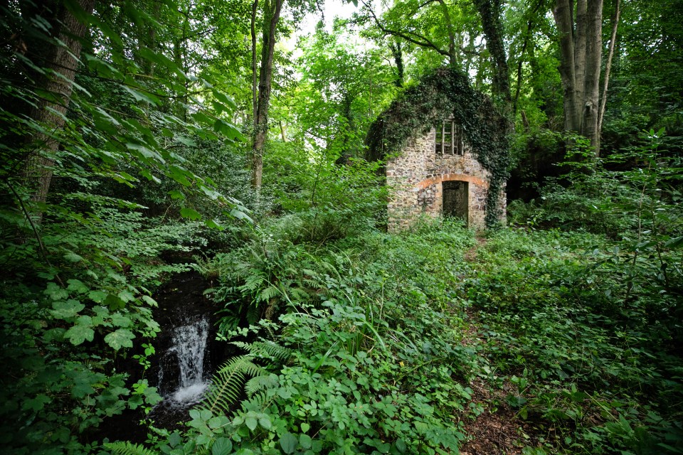 Overgrown stone mill ruin in a wooded area with a small waterfall.