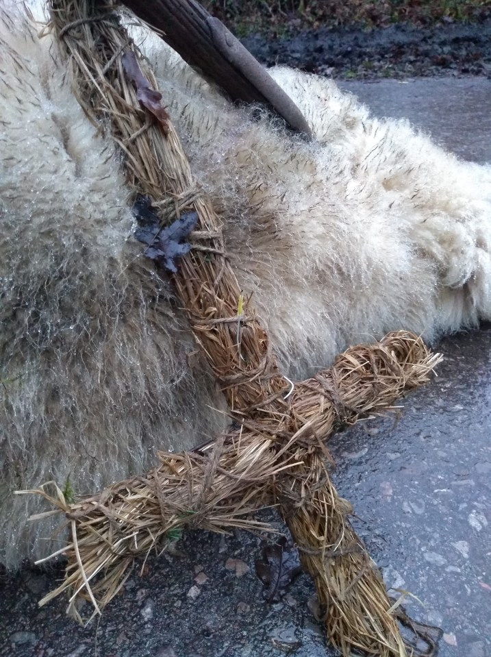 Dead sheep with pitchfork and hay cross.