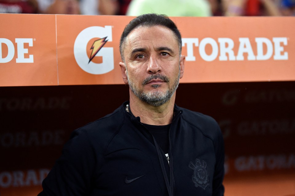 Photo of Vitor Pereira, soccer coach.
