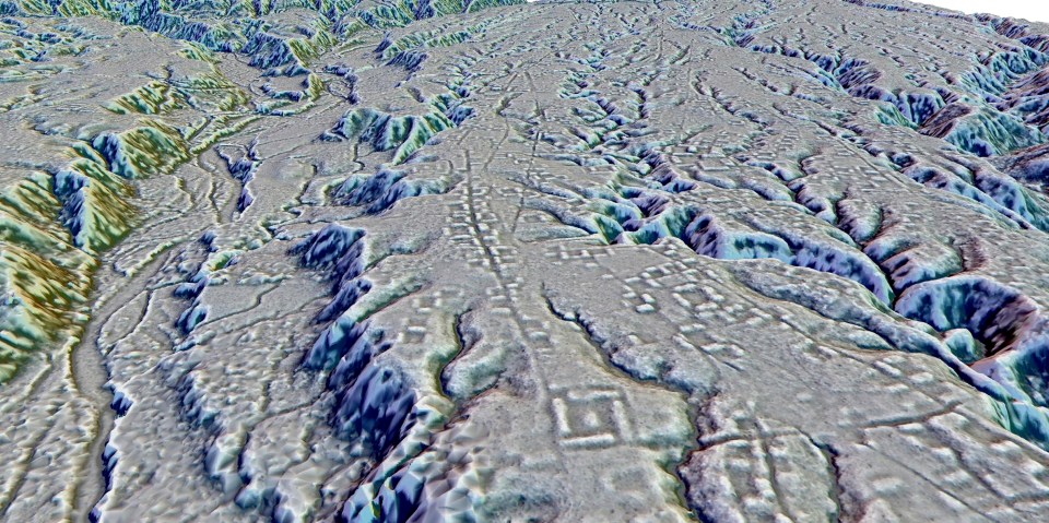 LIDAR image of rectangular platforms in the Amazon rainforest.