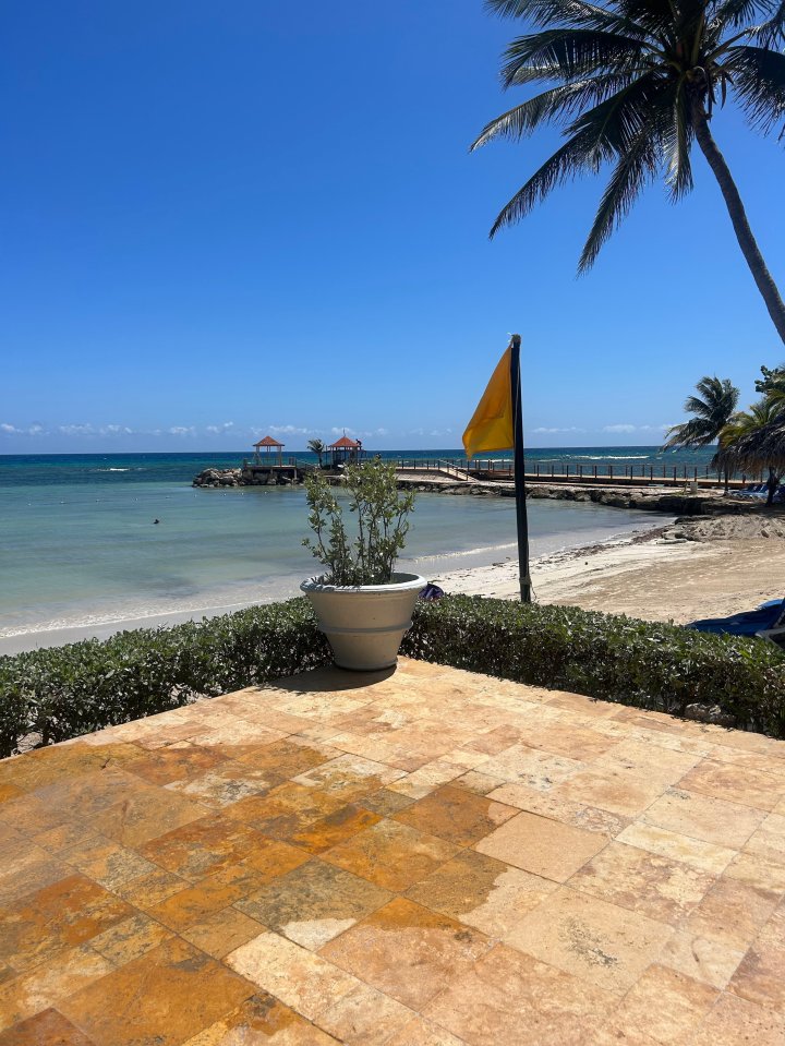 Beach scene with a yellow flag, calm water, and palm trees.