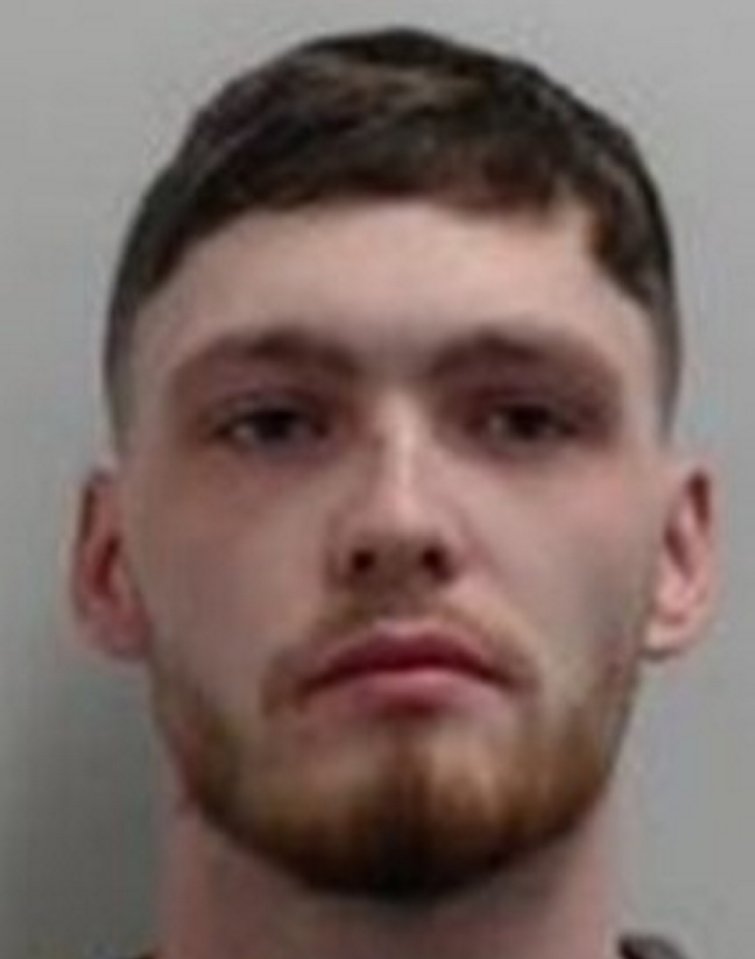 Headshot of Ashton Kitchen-White.