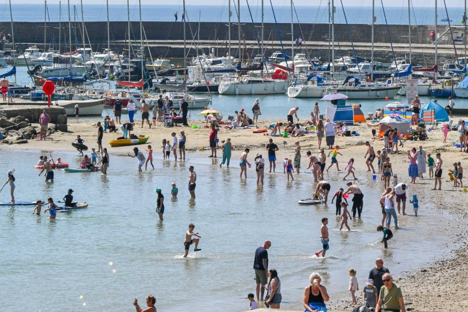Sunbathers enjoying a hot day at Lyme Regis beach in Dorset, UK.