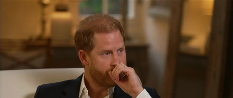 Prince Harry in an interview with BBC News.