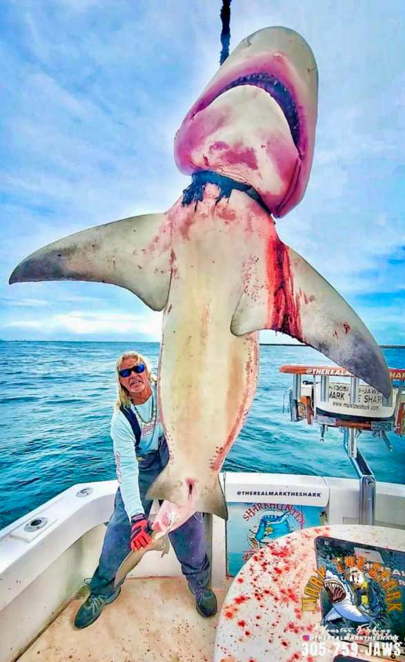 A man holding a large, bloodied shark on a boat.