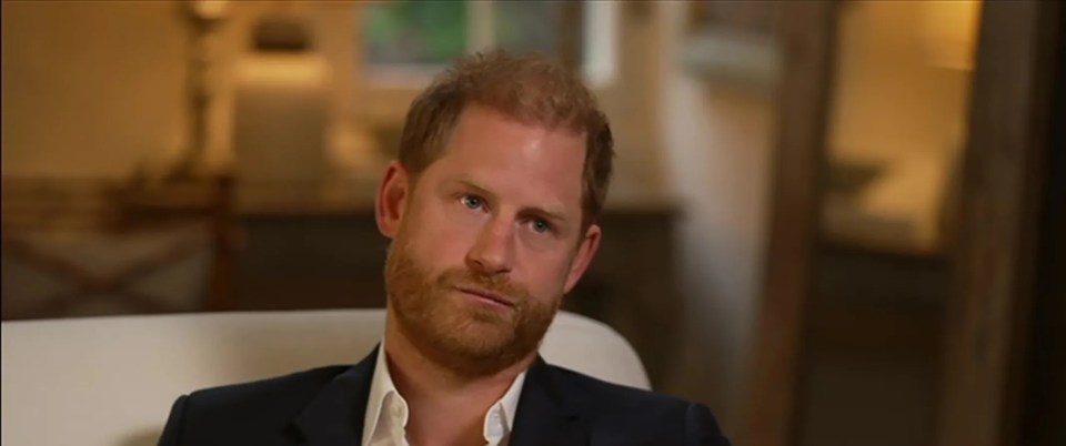 Prince Harry in an interview with BBC News.