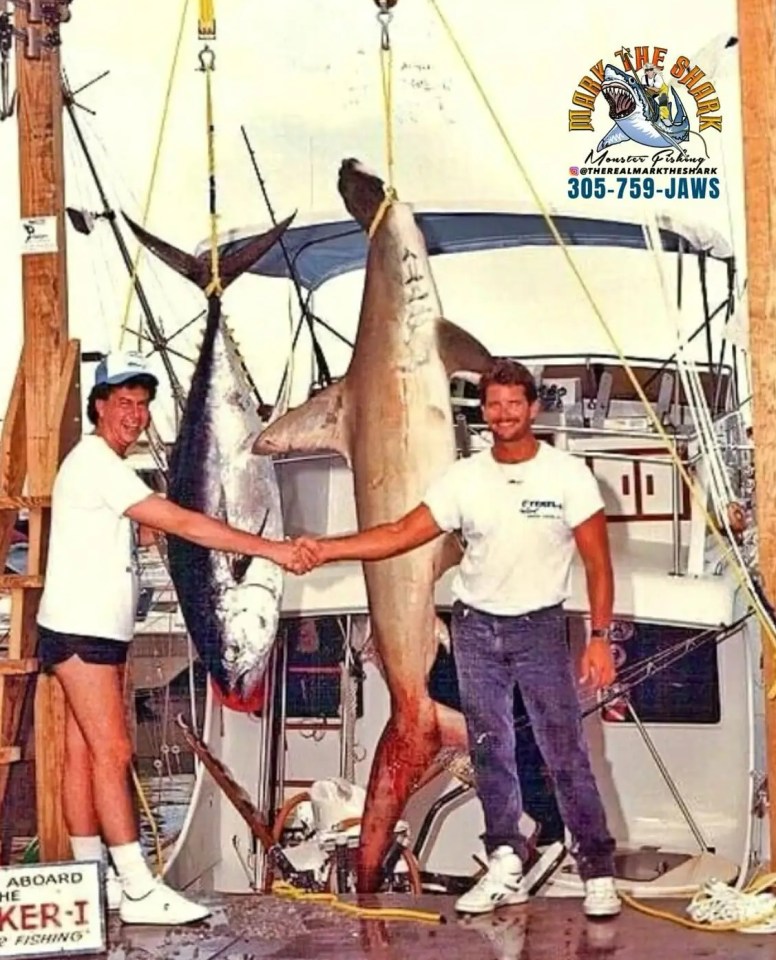 Captain Mark "The Shark" Quartiano with a large hammerhead shark and tuna.